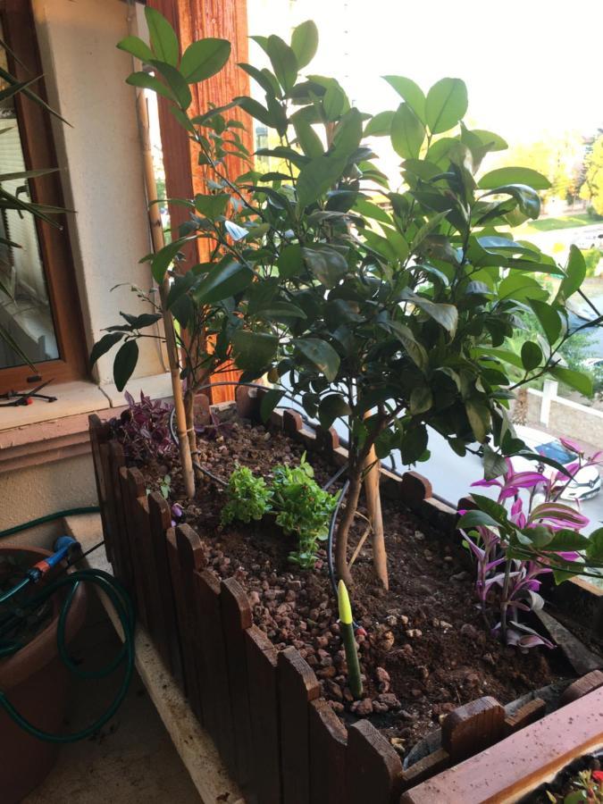 Apartament Orange Garden Antalya Zewnętrze zdjęcie